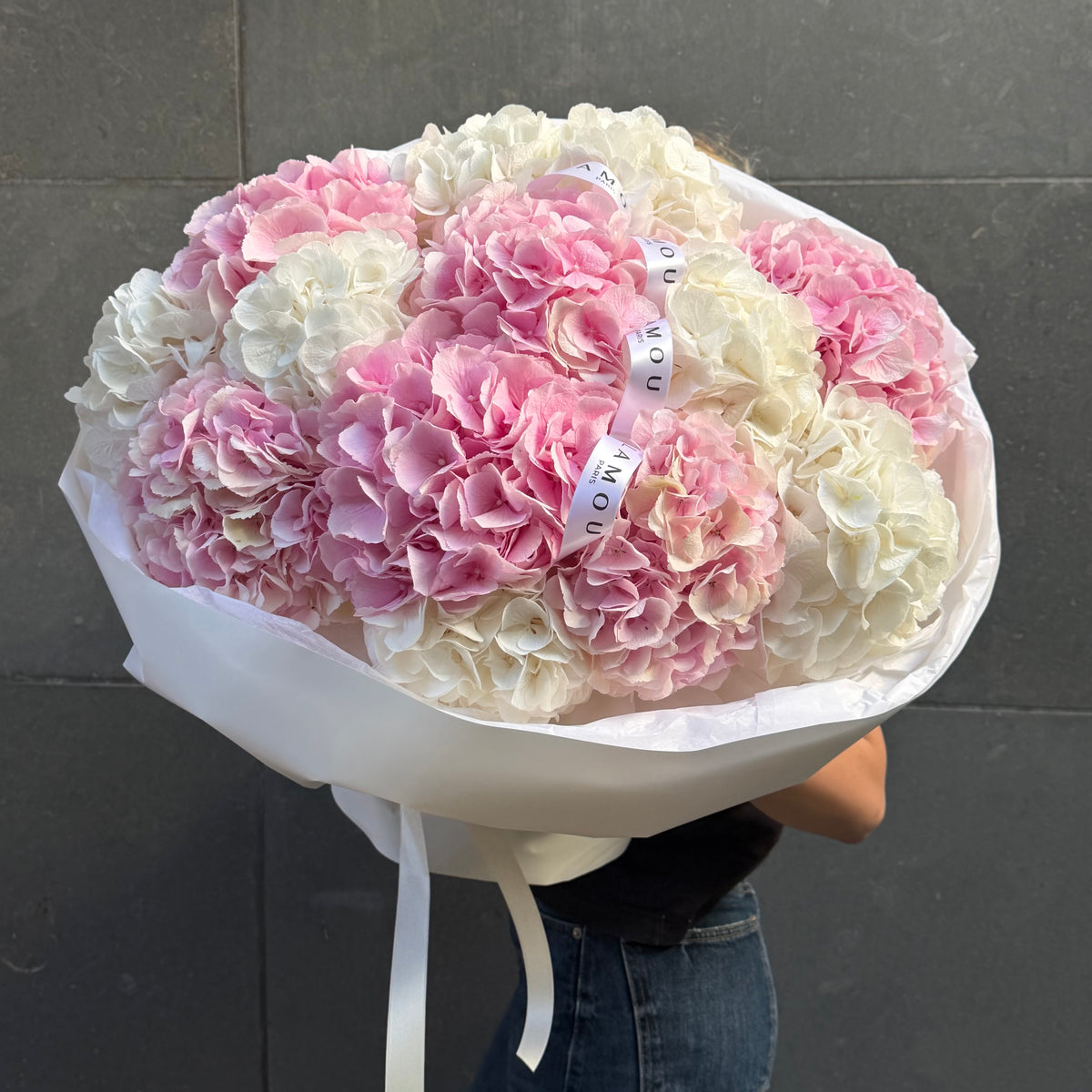 Hydrangeas M