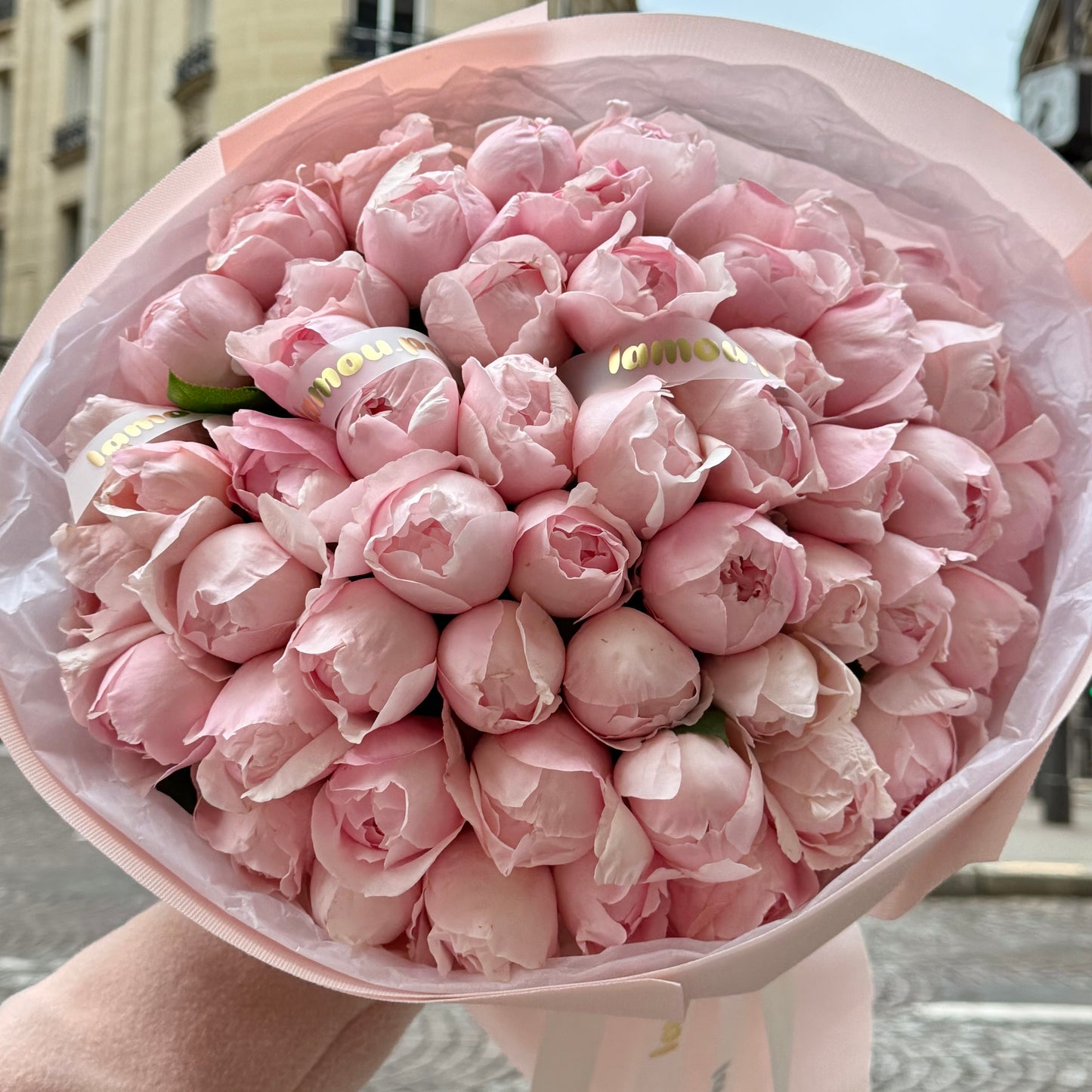 Roses Peony Pink