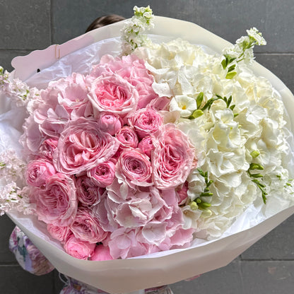 Pink to White Gradient