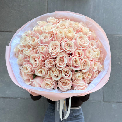 51 Blush Classic Roses