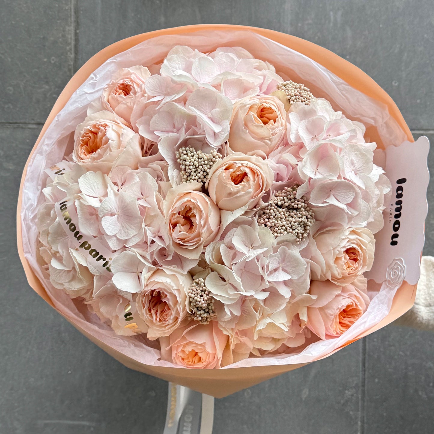 Blush Hydrangeas x Juliet