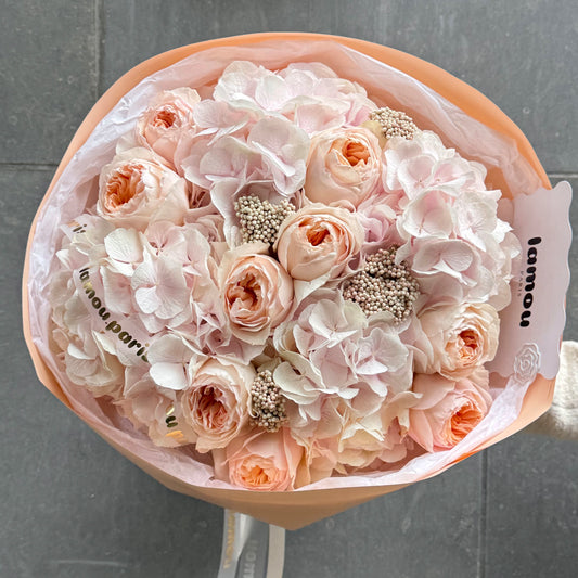 Blush Hydrangeas x Juliet