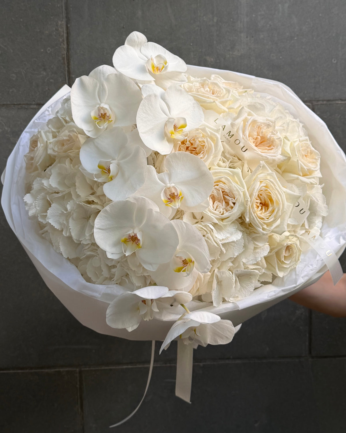 Nuage d’Orchidée Blanc L