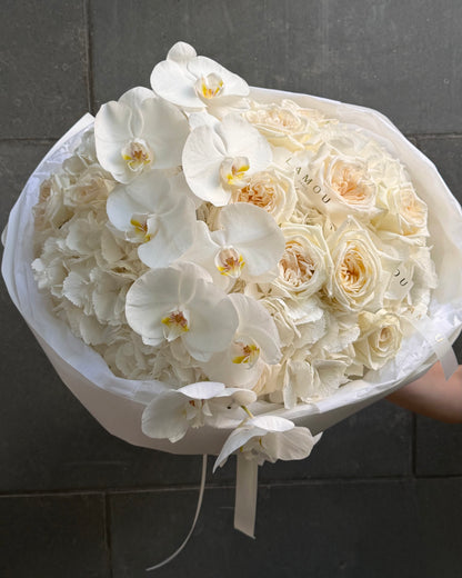 Nuage d’Orchidée Blanc L