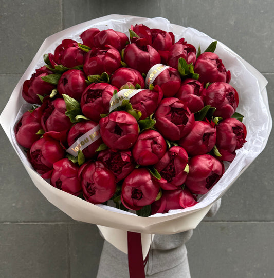 50 pivoines rouges
