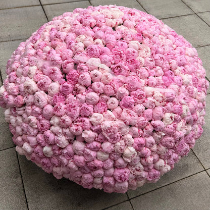 1001 Peonies Basket