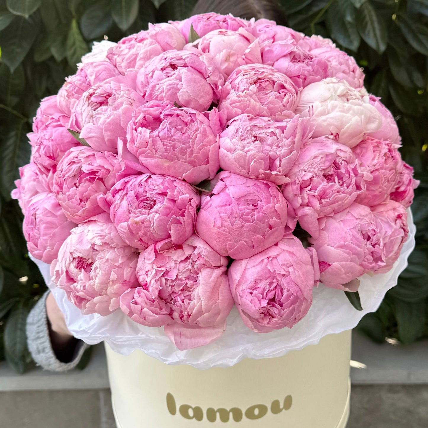 Pink Peonies in a Box L