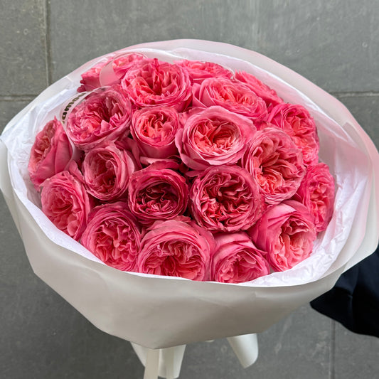 20 Pink Peony Roses