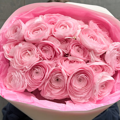 25 Pink Ranunculuses