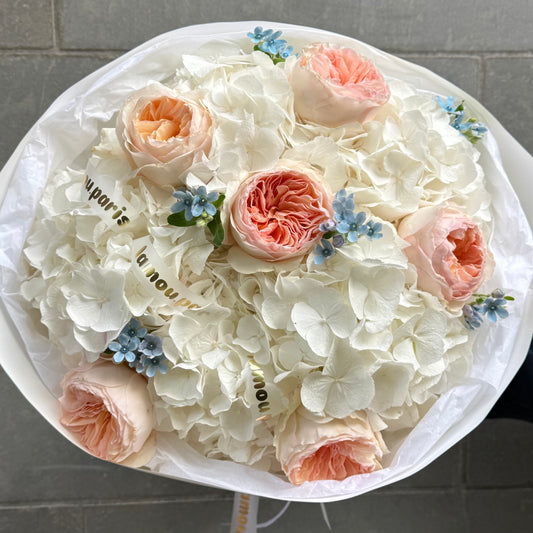 White Hydrangeas x Juliet S