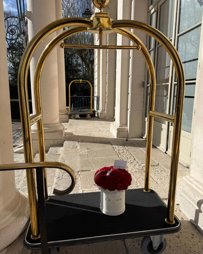 35 Red Roses Box M