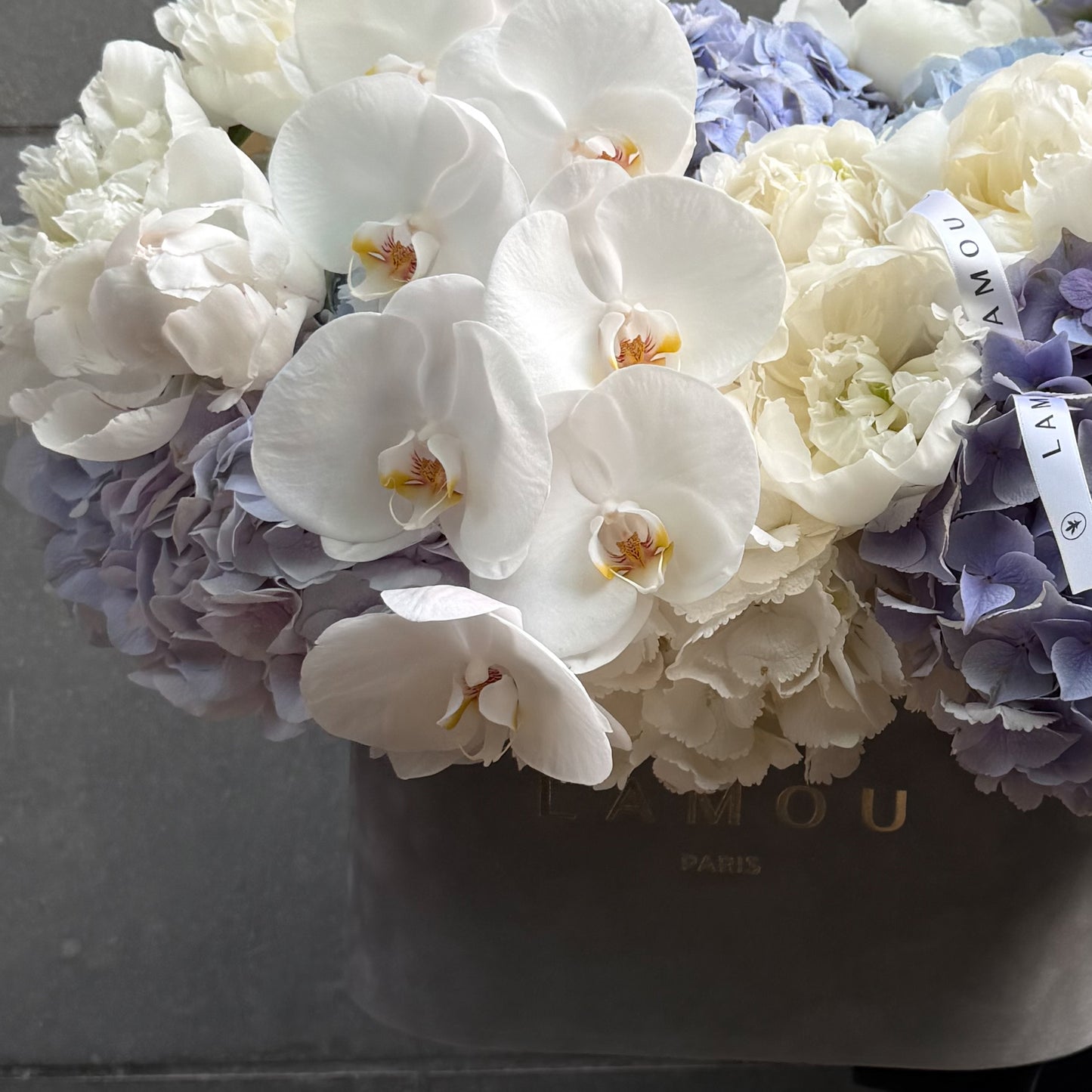 Ciel de Paris Oval Box L