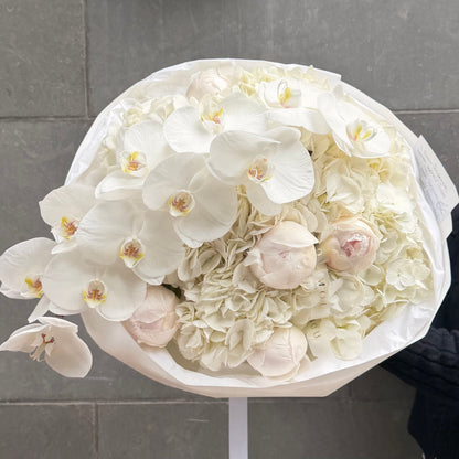 Nuage d'Orchidée Blanc M