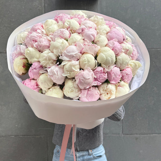 51 White x Pink Peonies