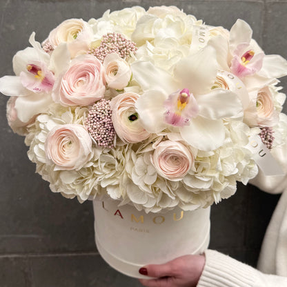 Blush Poésie Box M