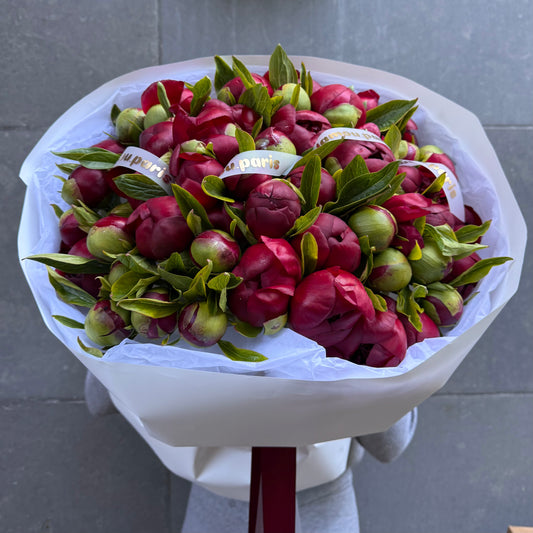 50 Red Peonies