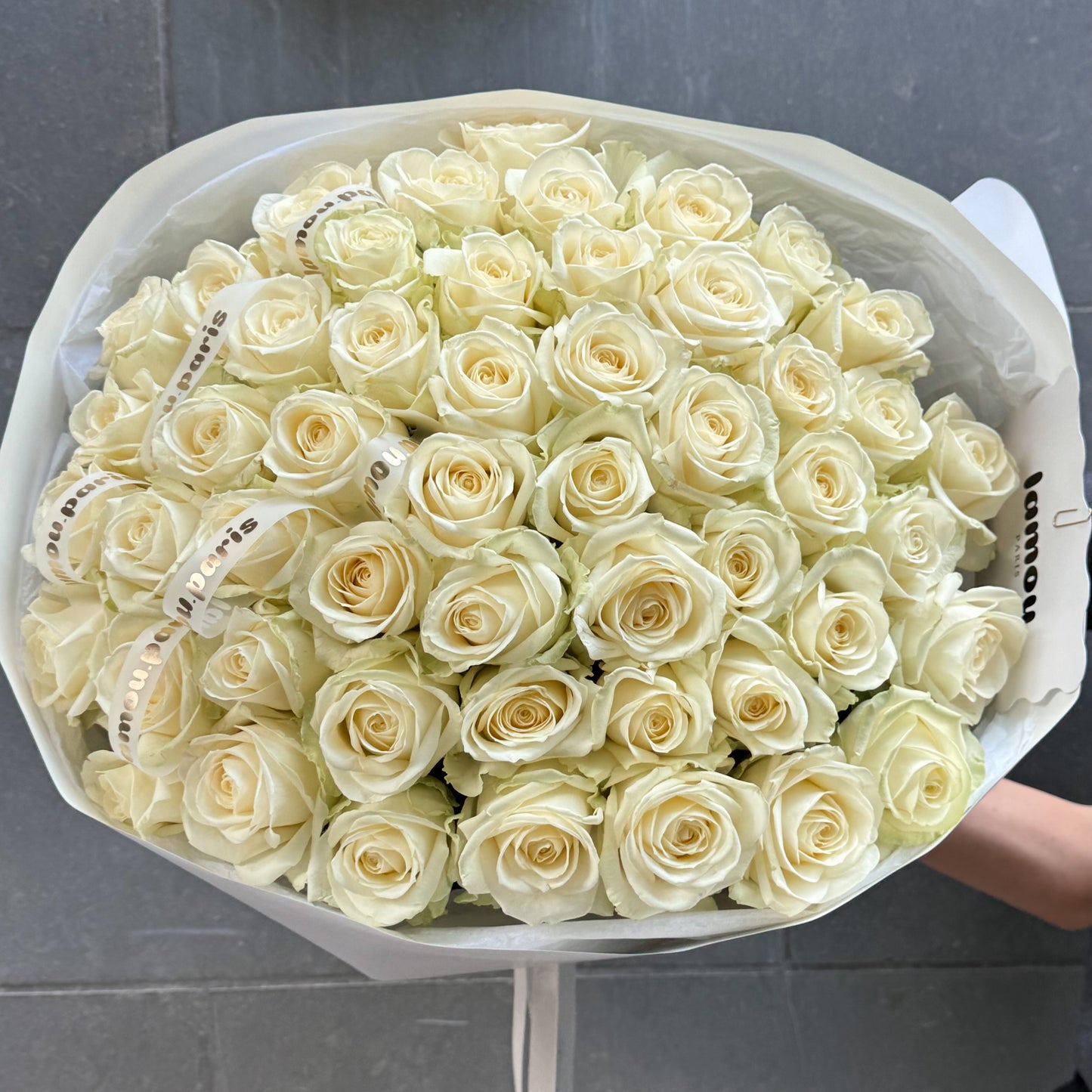51 White Classic Roses