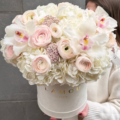 Blush Poésie Box M