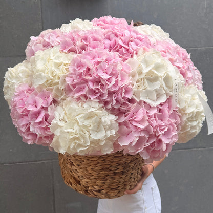 Hydrangeas Heaven Basket L