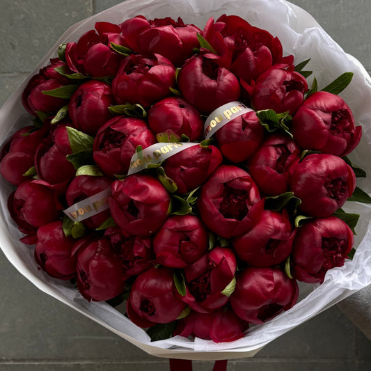 50 pivoines rouges