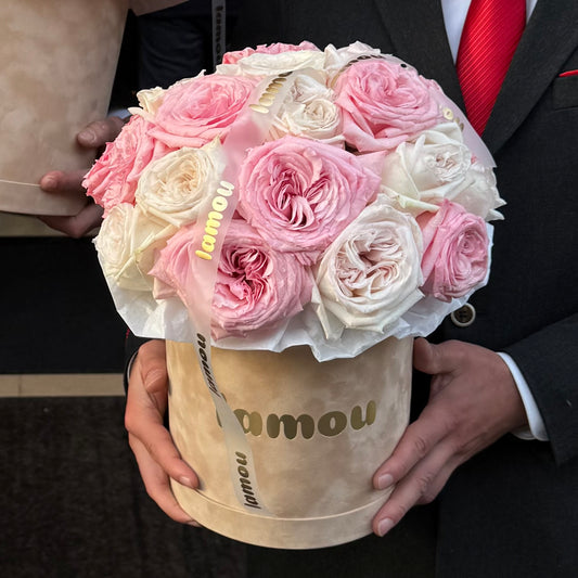 25 rosiers de qualité supérieure « White x Pink O'Hara » dans une boîte