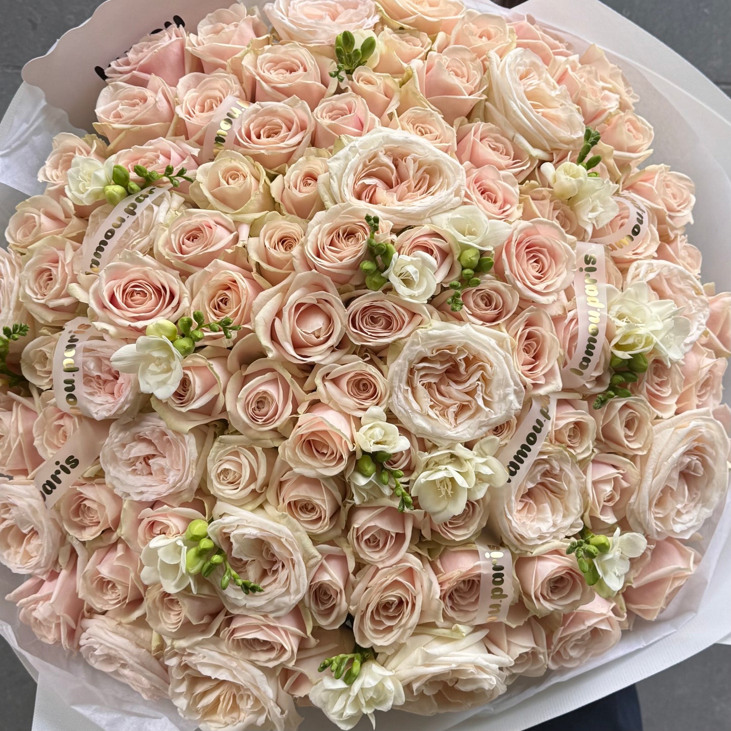 Blush Symphony