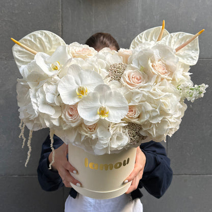White Elegance in a Box M