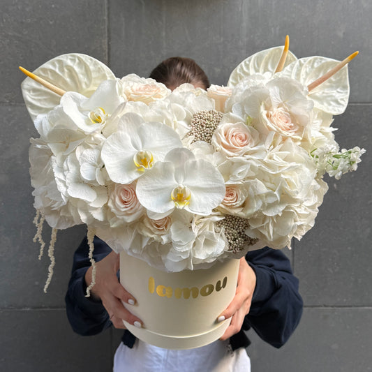 White Elegance in a Box M