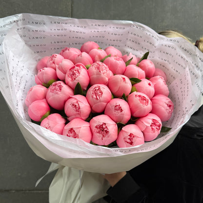 39 pivoines « Etched Salmon »