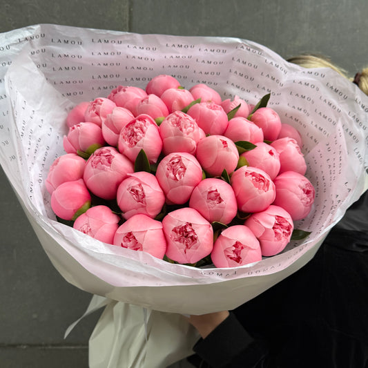 39 pivoines « Etched Salmon »