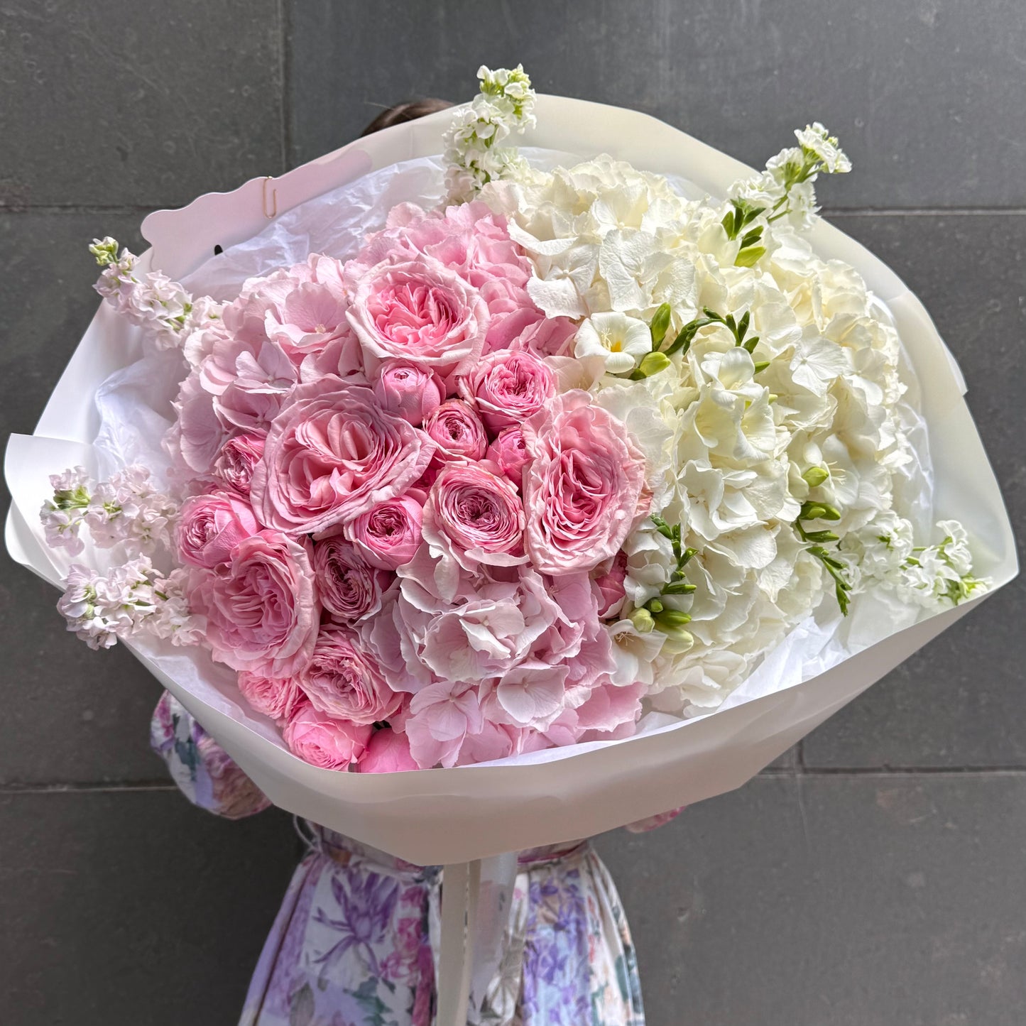 Pink to White Gradient