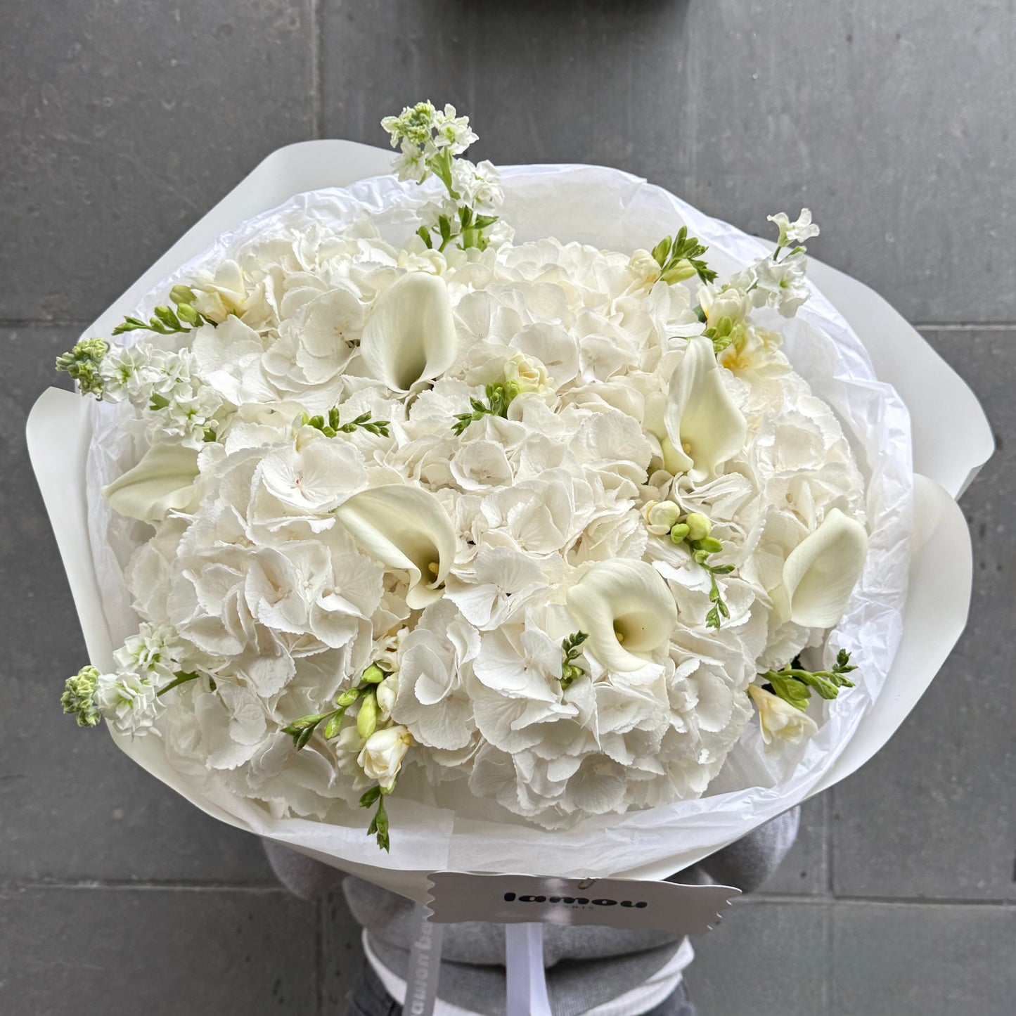 Élégance Blanche L