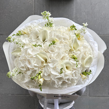 Élégance Blanche L