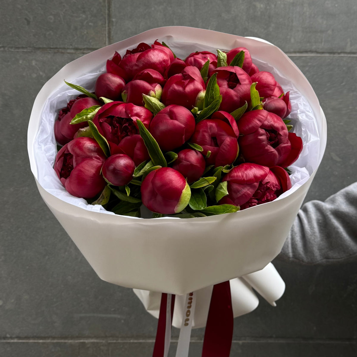 20 Burgundy Peonies