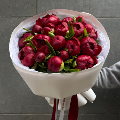 20 Burgundy Peonies