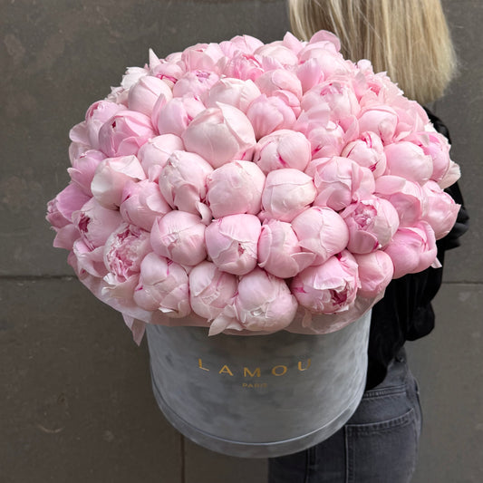 101 Pink Peonies Box XL