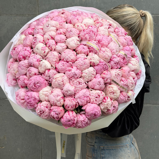101 pivoines roses