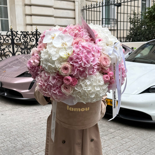 Pink x White in a Box XL