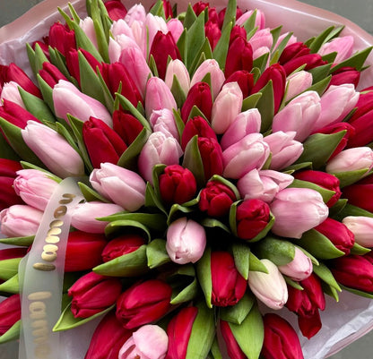 100 tulipes rouges x roses