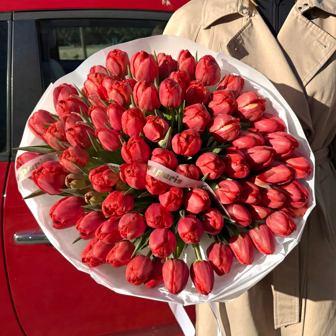 75 tulipes rouges