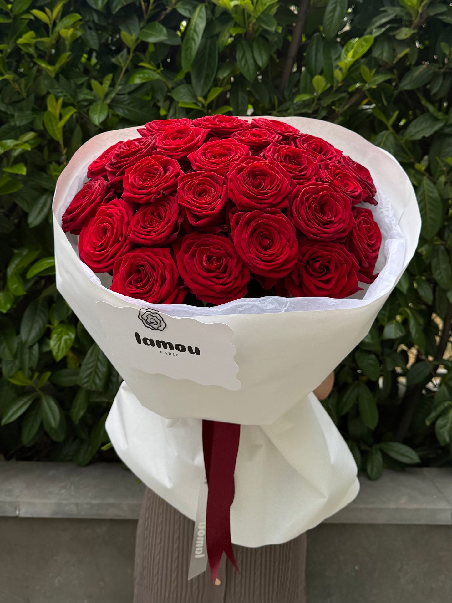 25 roses rouges