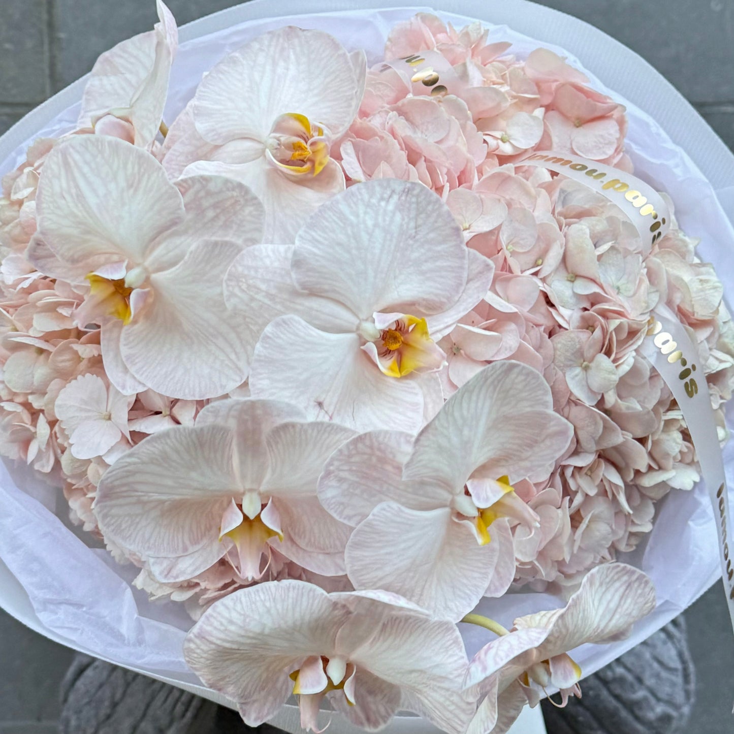 Nuage d’Orchidée Rose S