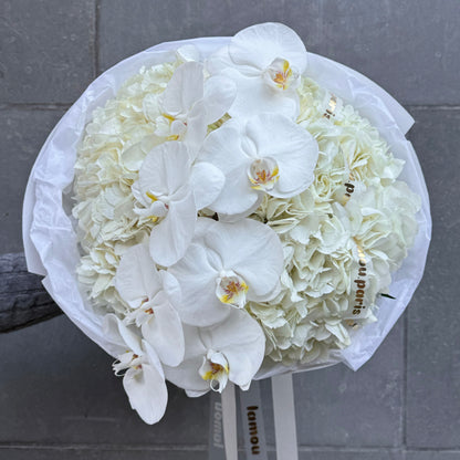 Nuage d’Orchidée Blanc S