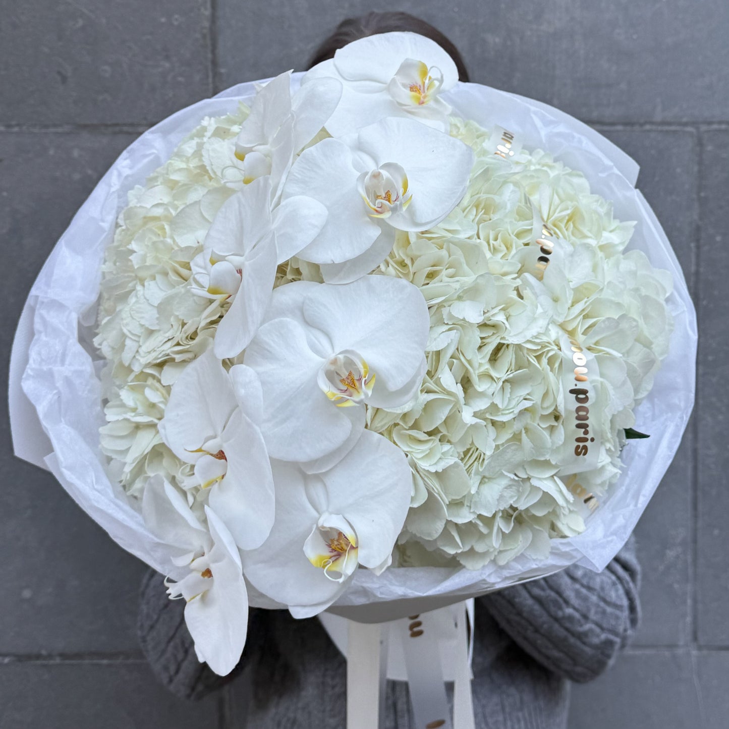 Nuage d’Orchidée Blanc S