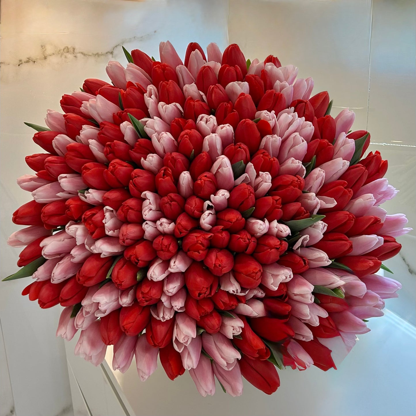 201 tulipes rouges et roses