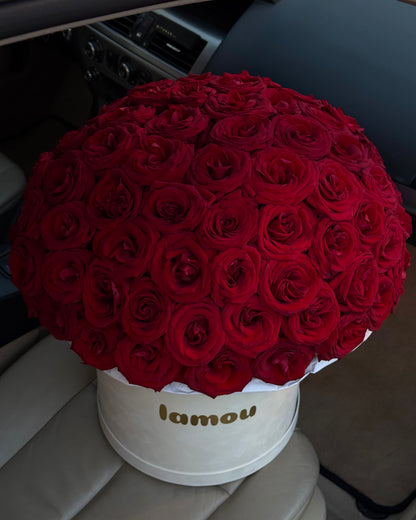 101 Red Rose in a Box