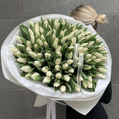 White Tulips