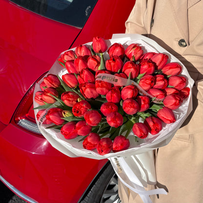 50 Tulipes rouges