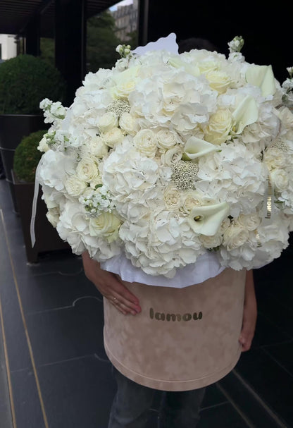 White Elegance in a Velvet Box XL