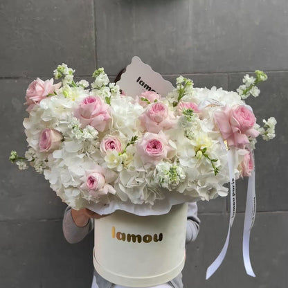 Spring Melody in a Box L